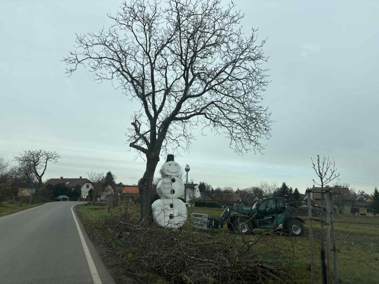 Příprava naší nové vánoční děkorace. Děkujeme JB za&nbsp;pomoc i&nbsp;materiál.